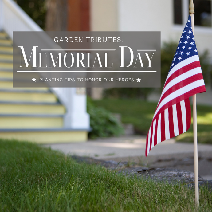 Garden Tributes: Memorial Day Planting Tips to Honor Our Heroes