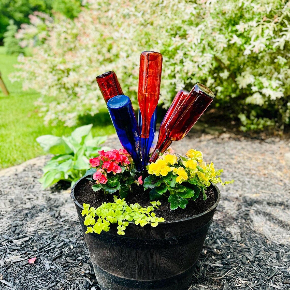 wine bottle plant pot Wine Bottle Tree, Glass Bottle Bush
