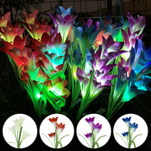 Load image into Gallery viewer, Lily Flower LED Solar Light 4-Pack - Includes Outdoor Garden Stakes for Yard
