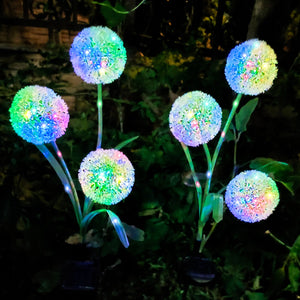 Allium Flower LED Solar Light 2-Pack - Includes Outdoor Garden Stakes for Your Yard