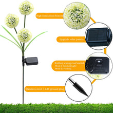 Load image into Gallery viewer, Allium Flower LED Solar Light 2-Pack - Includes Outdoor Garden Stakes for Your Yard