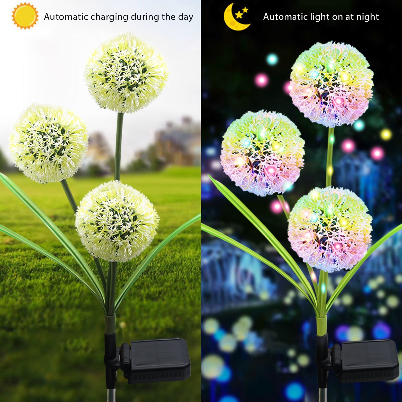 Allium Flower LED Solar Light 2-Pack - Includes Outdoor Garden Stakes –  Wine Wicks & Gifts